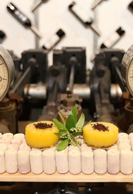 Massa com Cogumelos e Tomate 9 pudim