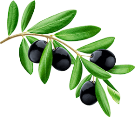 Lagar Azeite Dentinho 1 Azeite Dentinho