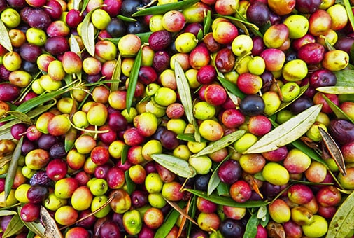 Mercado Azeite